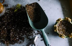 Tuin op maat: lievelingsplek in kleine tuin